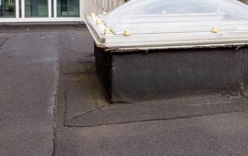 disadvantages of Lochanhully flat roofs