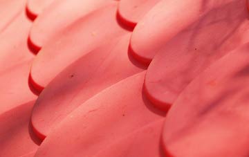 Lochanhully plastic roof costs